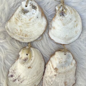 May include: Four natural oyster shell decorations with twine hangers. The shells are off-white with brown and gold accents around the edges. Each shell has a hole drilled for the twine. The shells are arranged on a white, fluffy surface.
