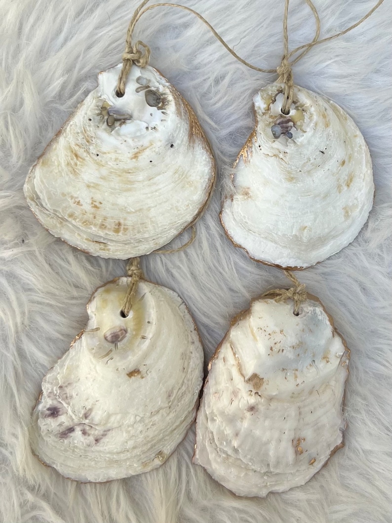 May include: Four natural oyster shell decorations with twine hangers. The shells are off-white with brown and gold accents around the edges. Each shell has a hole drilled for the twine. The shells are arranged on a white, fluffy surface.
