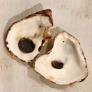 May include: Two oyster shells with gold leaf accents. The shells are white with a natural brown interior.