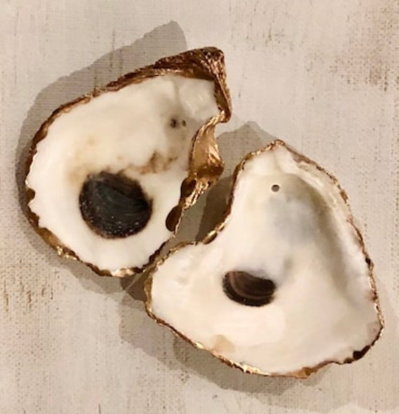 May include: Two oyster shells with gold leaf accents. The shells are white with a natural brown interior.