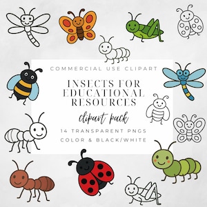 Insect Clipart for Teachers | Cute Bug PNGs in Color & B/W | Educational Clip Art | Commercial Use | Ant, Bee, Butterfly, Ladybug Graphics