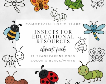 Insect Clipart | Ants, Bees, Butterflies PNGs | Teacher Resources (Commercial Use)