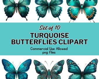 Turquoise Butterfly Clipart: Teal Insect Graphics, Scrapbooking PNGs (Commercial Use