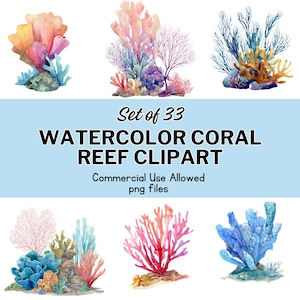 Watercolor Coral Reef Clipart Set of 33 PNG Files, Tropical Ocean Clip Art Bundle, Underwater Marine Illustrations for Commercial Use