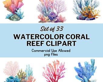 Aquarell Korallenriff Clipart Set: 33 tropische PNG Illustrationen
