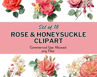Akvarell ros och kaprifol clipart set: Blommiga illustrationer, kommersiellt bruk