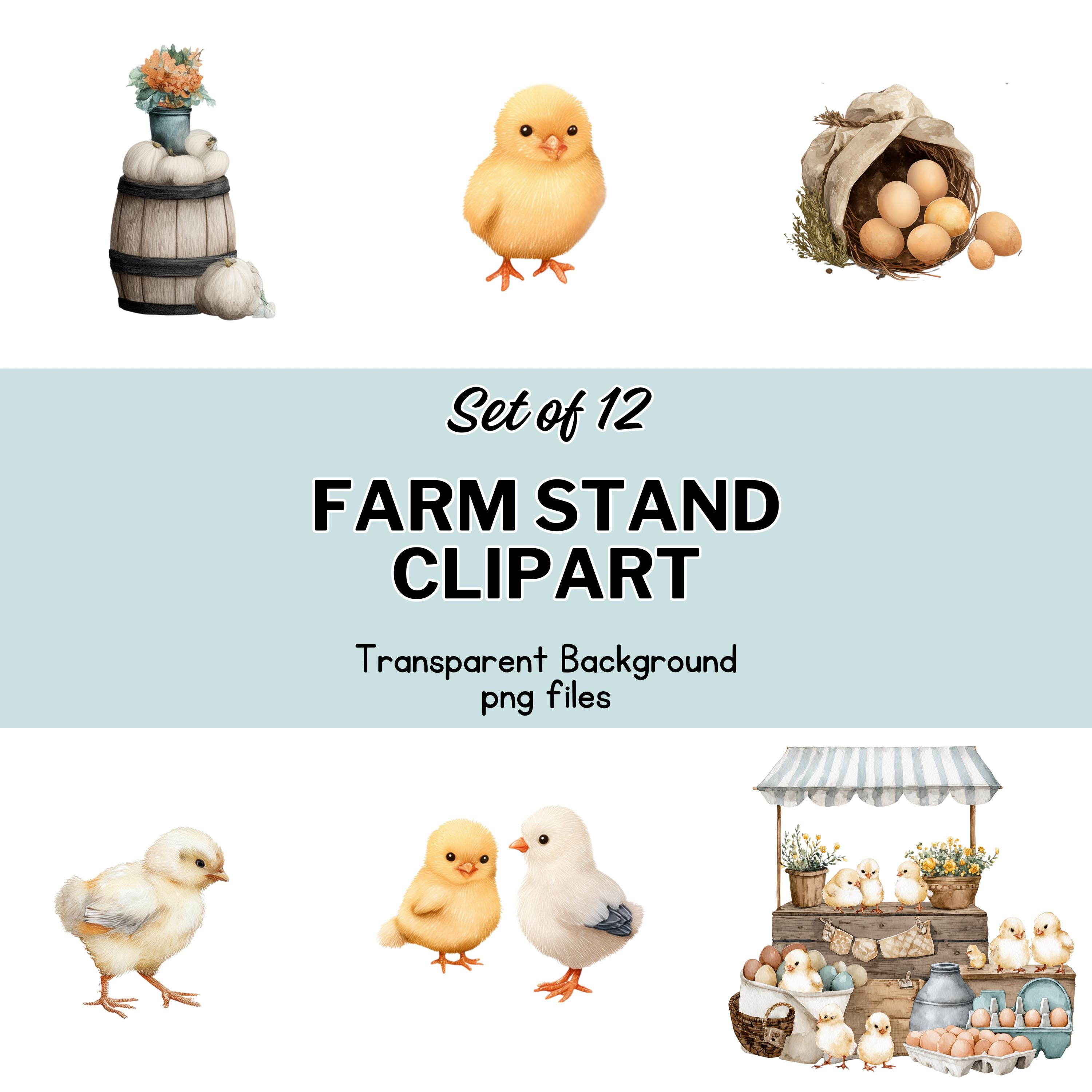 Watercolor Baby Chicks Clipart – Rustic Farm Stand Graphics, Spring ...