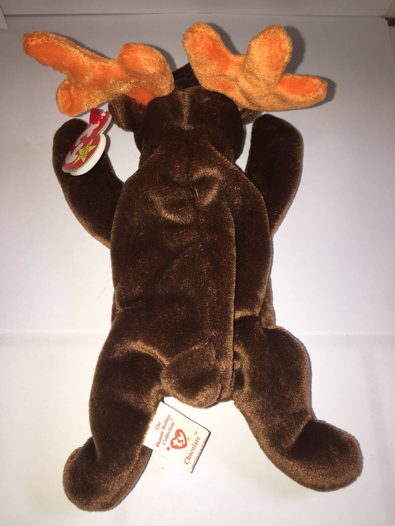 Chocolate the the Moose TY Beanie Baby - Etsy