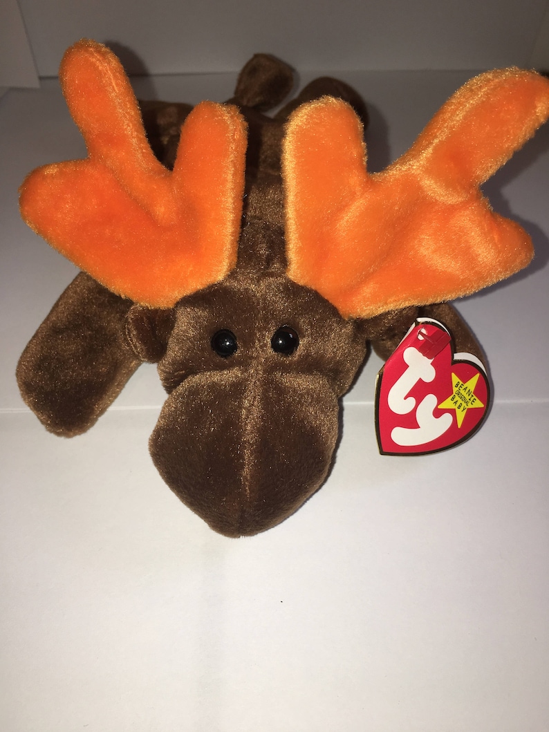 Chocolate the the Moose TY Beanie Baby - Etsy