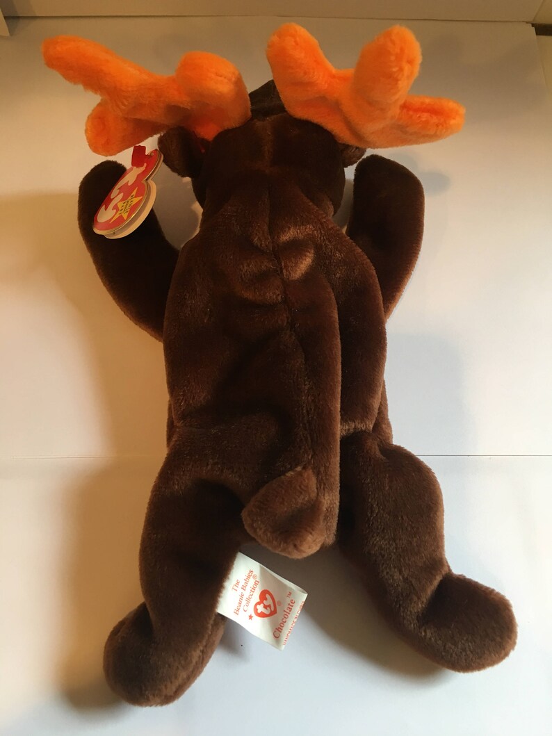 Chocolate the the Moose TY Beanie Baby - Etsy
