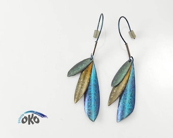 Titanium Earrings