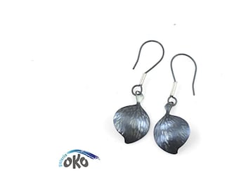 Titanium earrings