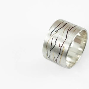 Titanium ring image 1