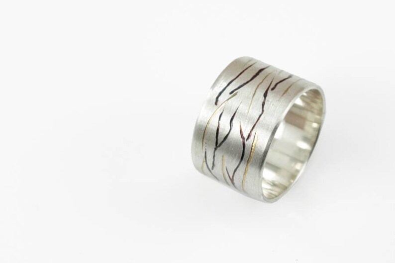 Titanium ring image 1