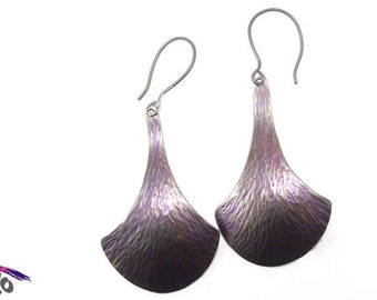 Titanium earrings