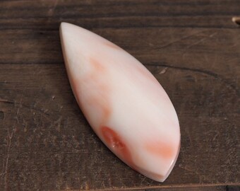 Undyed Natural Coral Free Form Cabochon 32×13mm, One of a Kind, Genuine Loose Coral for Jewelry Making