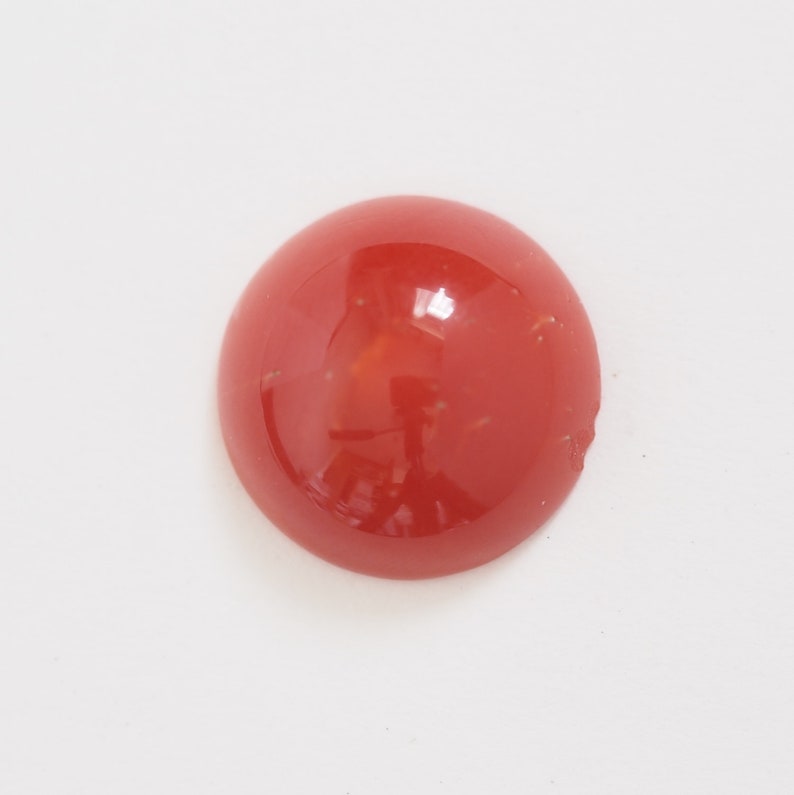 prong for blank bezel natural Japan red coral round cabochon undyed loose 12mm oxblood color claw setting cut price imperfect product