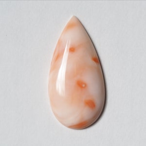 May include: A teardrop-shaped cabochon of pink and white coral with orange swirls. The coral is polished and has a smooth, glossy finish.