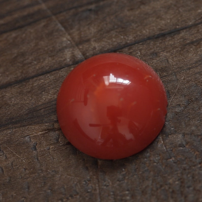 prong for blank bezel natural Japan red coral round cabochon undyed loose 12mm oxblood color claw setting cut price imperfect product