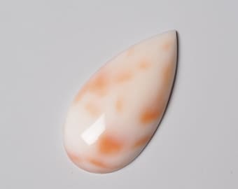 Cabujón de coral natural sin teñir en forma de lágrima grande de 25 x 13 mm, blanco con patrón rojo, piedra preciosa suelta para joyería.