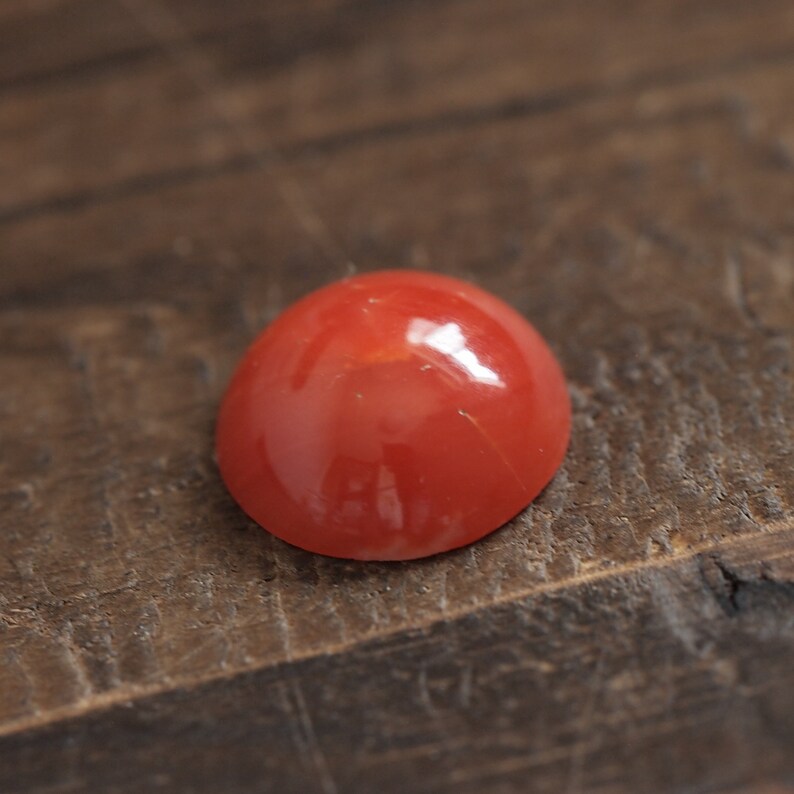 prong for blank bezel natural Japan red coral round cabochon undyed loose 12mm oxblood color claw setting cut price imperfect product