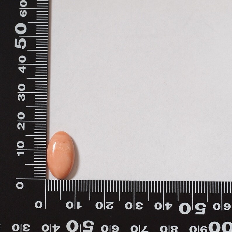 natural Japan pink coral oval cabochon undyed loose 17\u00d710mm rare like an angel skin color prong for blank bezel claw setting