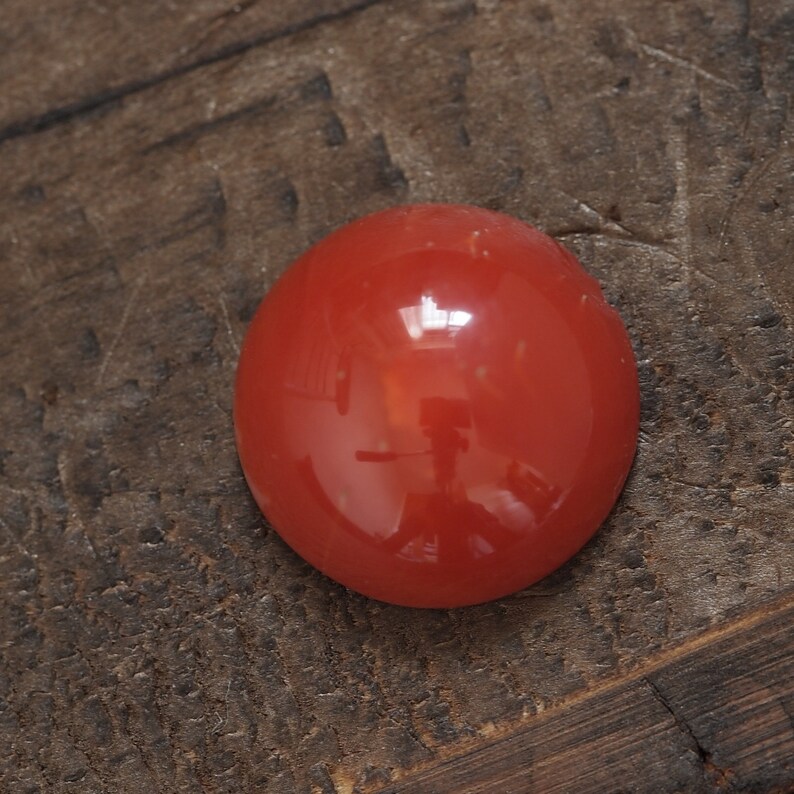 prong for blank bezel natural Japan red coral round cabochon undyed loose 12mm oxblood color claw setting cut price imperfect product