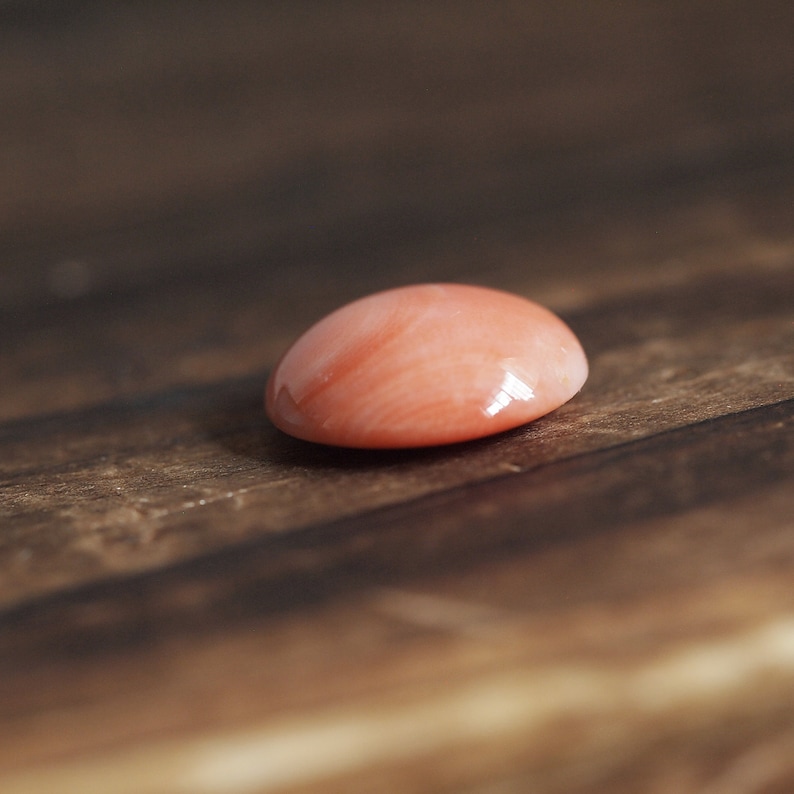 natural Japan pink coral semi-round cabochon 14mm undyed loose prong for blank bezel claw setting reddish orange color