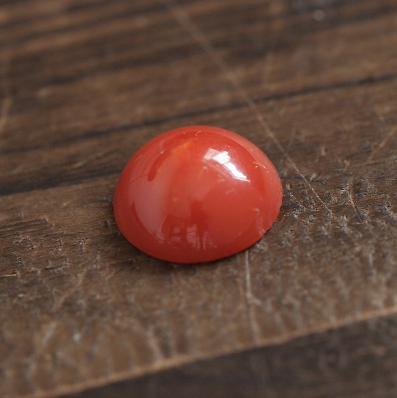 prong for blank bezel natural Japan red coral round cabochon undyed loose 12mm oxblood color claw setting cut price imperfect product