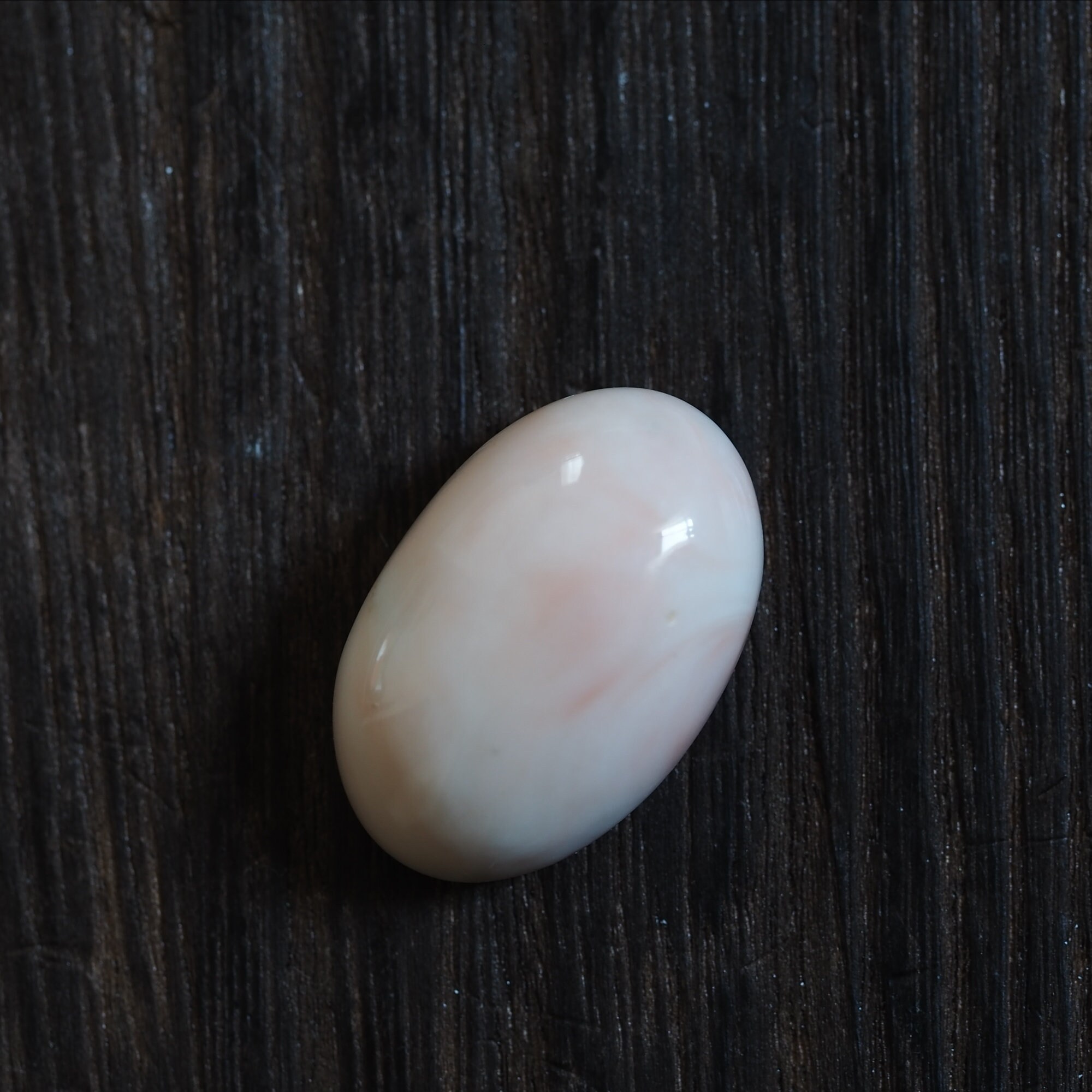 Great Deal Undyed Natural Coral Large and Thick Oval Cabochon 25×16mm, Pale Pink, One of a Kind, Genuine Loose Coral for Jewelry Making