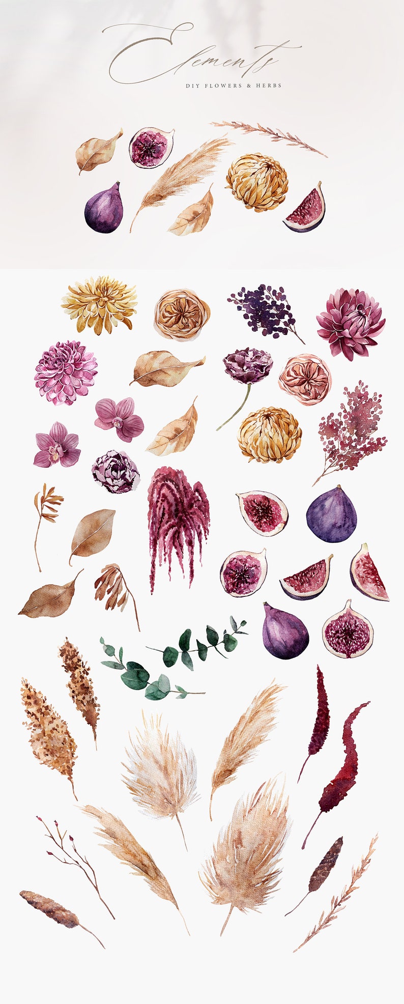 Download Autumn Gold Alphabet Watercolor Floral Ensemble Watercolor Orchids Palm Figs Eucalyptus Dahlia Sunset Boho Watercolor Collection Clip Art Art Collectibles Kromasol Com