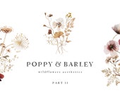 Poppy And Barley Watercolor Wildflowers Clipart - Wild Flowers Clipart - Autumn Field Watercolor Flora - Fall Garden Botanical Clipart