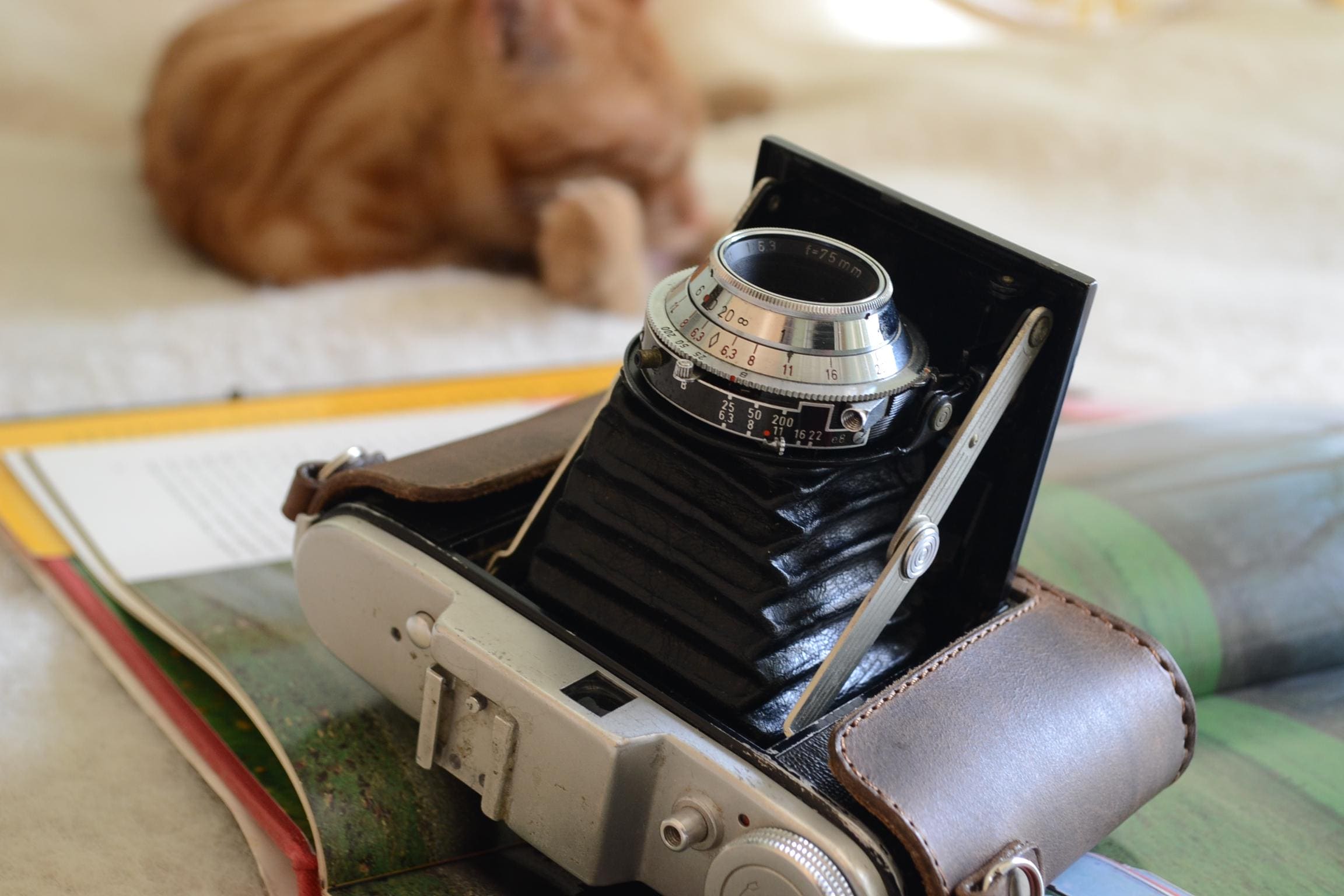 Zeiss Super Ikonta Leather Case - Etsy
