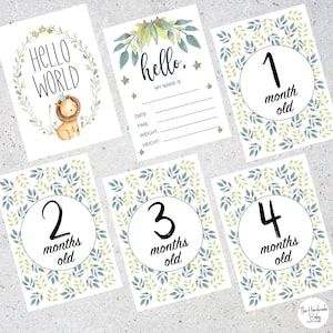 Safari Baby Milestone Cards / Jungle / Baby Photo Props / New Baby Accessories / Baby Shower Gift / Baby Cards / Babys First Year