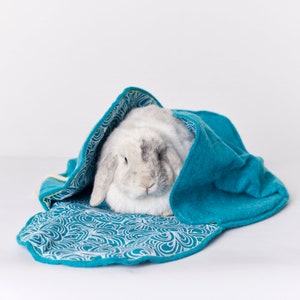 Eco-Friendly Pet Burial Kit - Sweet Goodbye CLOUD®