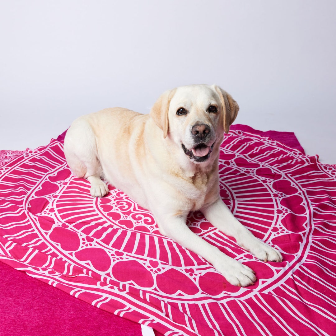Eco-friendly Pet Burial Kit - Sweet Goodbye COCOON® (premium Wool) - Etsy