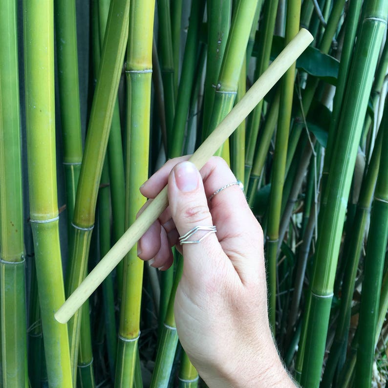 Reusable Bamboo Straw image 3