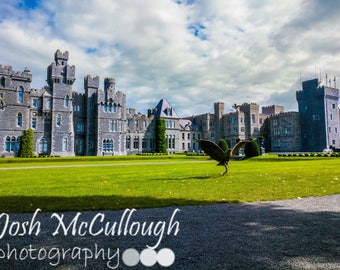ASHFORD CASTLE MEDIEVAL GALWAY IRELAND IRISH LUXURY HOTEL TRAVEL POSTER REPRO ASHFORD CASTLE MEDIEVAL GALWAY IRELAND IRISH LUXURY HOTEL TRAVEL POSTER REPRO