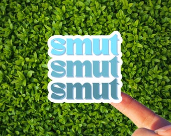 Pegatina de lector obsceno / Romance de Booktok, decoración para Kindle (vinilo de 7,6 cm)