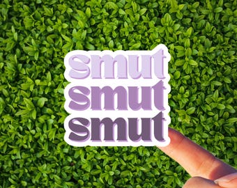 Pegatina de lector obsceno / Romance de Booktok, decoración para Kindle (pegatina de vinilo de 7,6 cm)