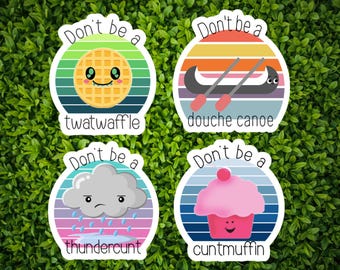 Pegatinas de vinilo con insultos graciosos / Humor para adultos