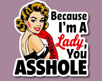 Pegatina de vinilo sarcástica retro de 3 pulgadas / Divertida calcomanía feminista / Pegatina vintage sarcástica para laptop / Comprar por unidad o paquete de 6