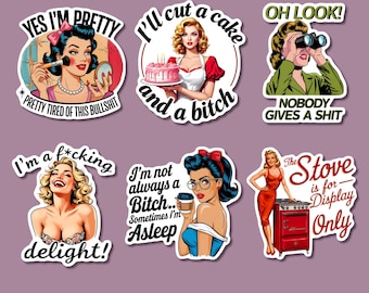 Pegatina de vinilo sarcástica retro de 3 pulgadas / Divertida calcomanía feminista / Pegatina vintage sarcástica para laptop / Comprar por unidad o paquete de 6