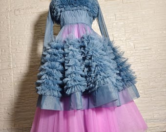 May include: A long-sleeved dress with a blue tulle bodice and a pink tulle skirt. The bodice has multiple layers of ruffles and the skirt has two layers.