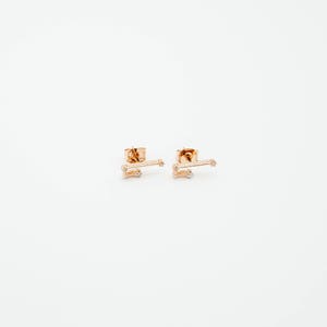 Aries Mar 21. Apr 19. Zodiac Earrings 925 Silver GOLD / SILVER / ROSEGOLD plated Star Constellation image 4