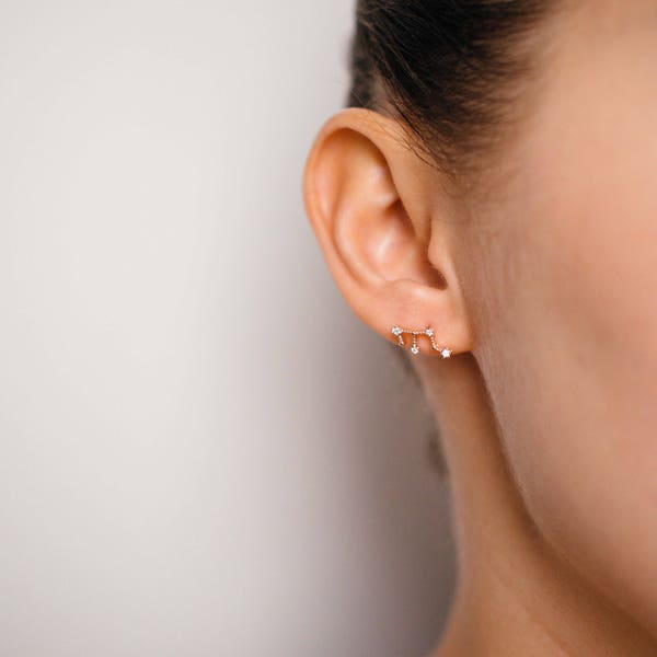 Leo Jul 23. - Aug 22. Zodiac Earrings 925 Silver GOLD / SILVER  / ROSEGOLD plated Star Constellation