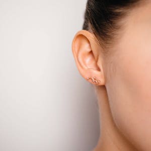 Gemini May 21. - Jun 20. Zodiac Earrings 925 Silver GOLD / SILVER  / ROSEGOLD plated Star Constellation