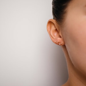 Libra Sept 23. - Oct 22. Zodiac Earrings 925 Silver GOLD / SILVER  / ROSEGOLD plated Star Constellation