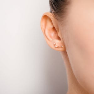 Aquarius Jan 20. - Feb 18. Zodiac Earrings 925 Silver GOLD / SILVER  / ROSEGOLD plated Star Constellation