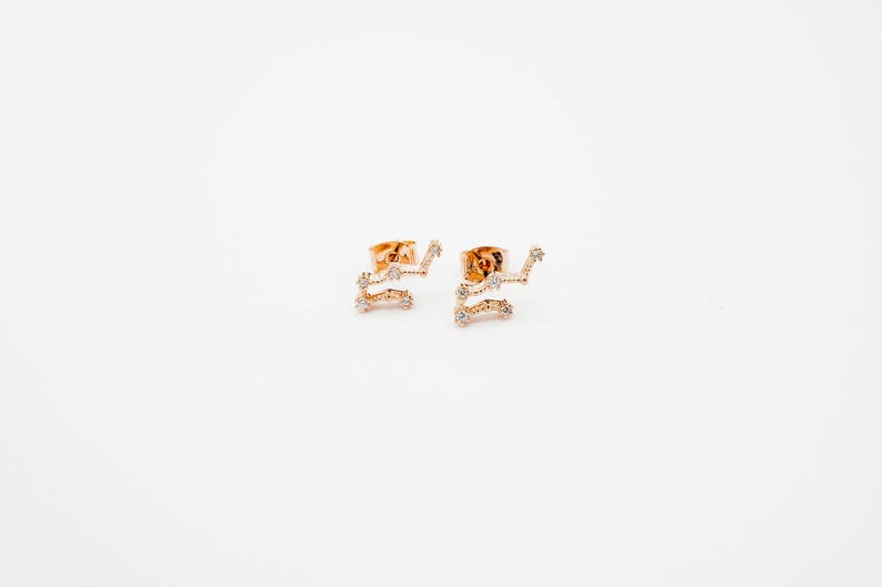 Gemini May 21. Jun 20. Zodiac Earrings 925 Silver GOLD / SILVER / ROSEGOLD plated Star Constellation image 3